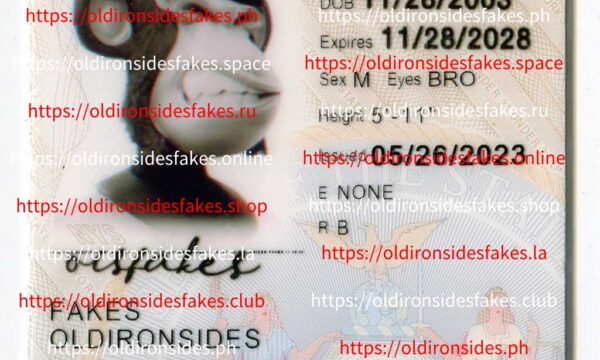 New York Driver License(NY U21 2020)