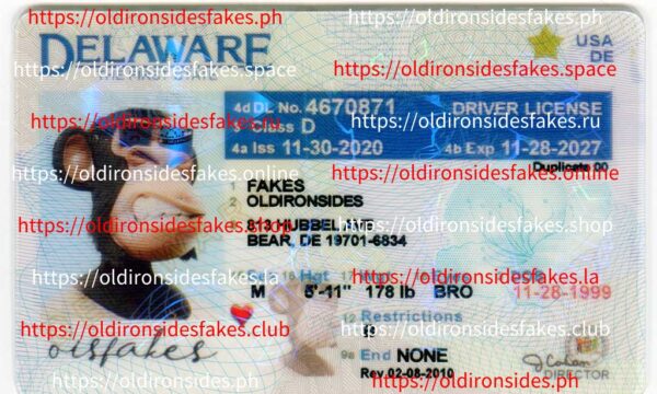 Delaware Driver License(Old DE)
