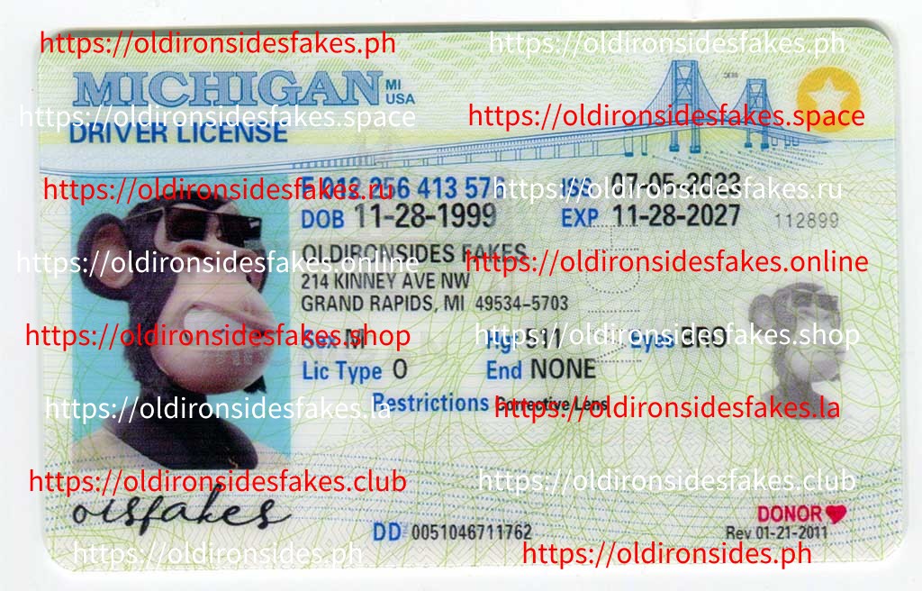 Michigan Driver License(MI)