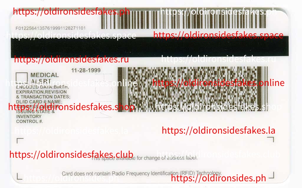 Michigan Driver License(MI) - Image 2