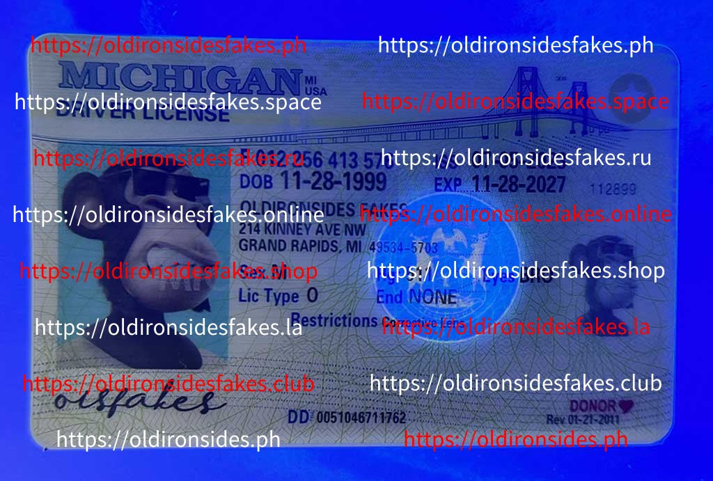 Michigan Driver License(MI) - Image 3