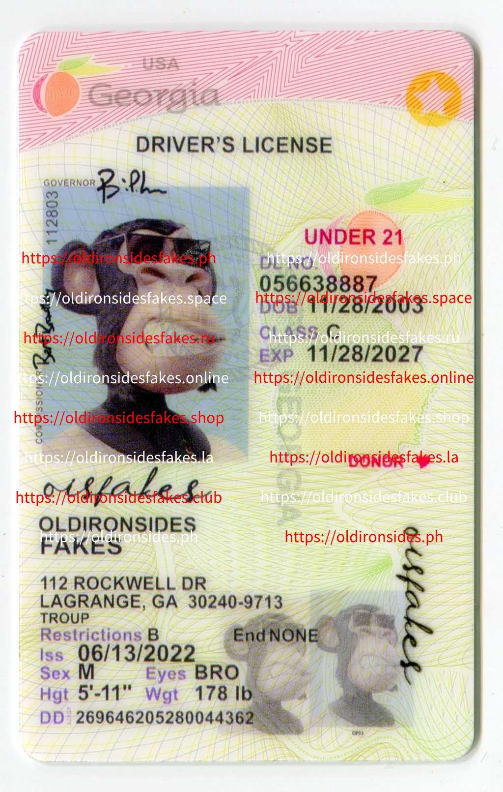Georgia Driver License(Old GA U21)