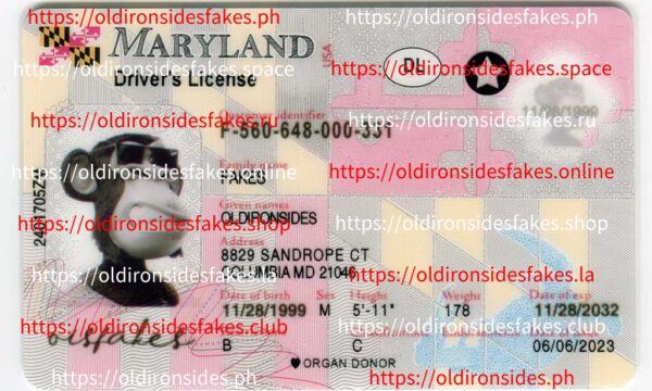 Maryland Driver License(New MD)