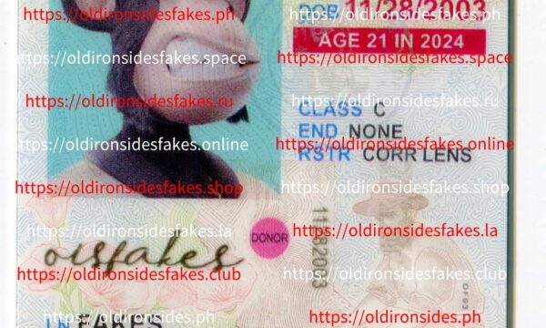 California Driver License(New CA U21)