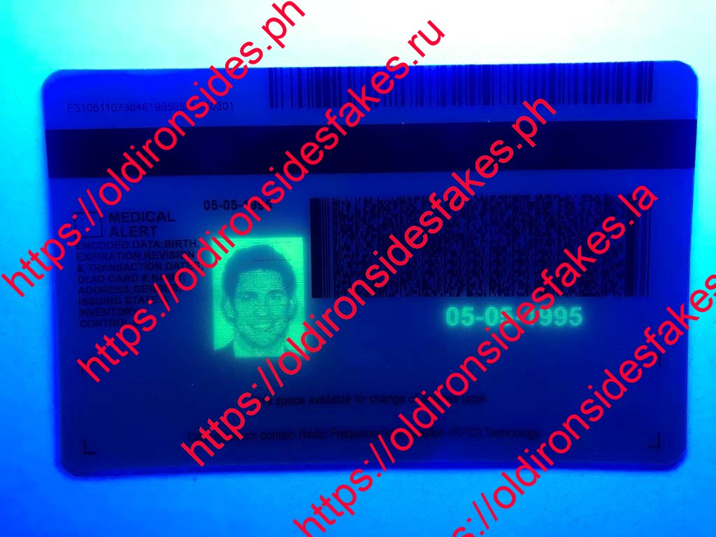 Michigan Driver License(MI) - Image 6