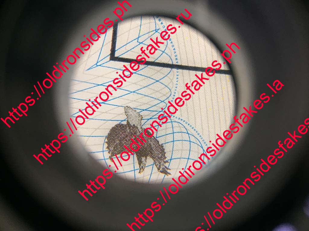 Nevada Driver License(Old NV) - Image 6